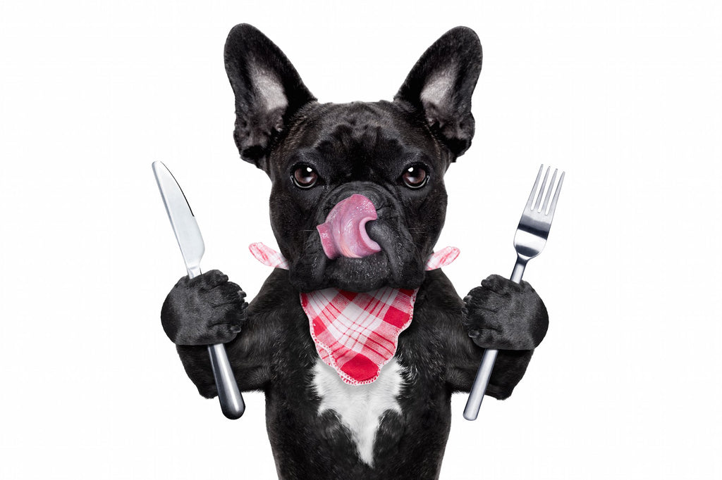 Hungry dog holding cutlery with a napkin around it's neck