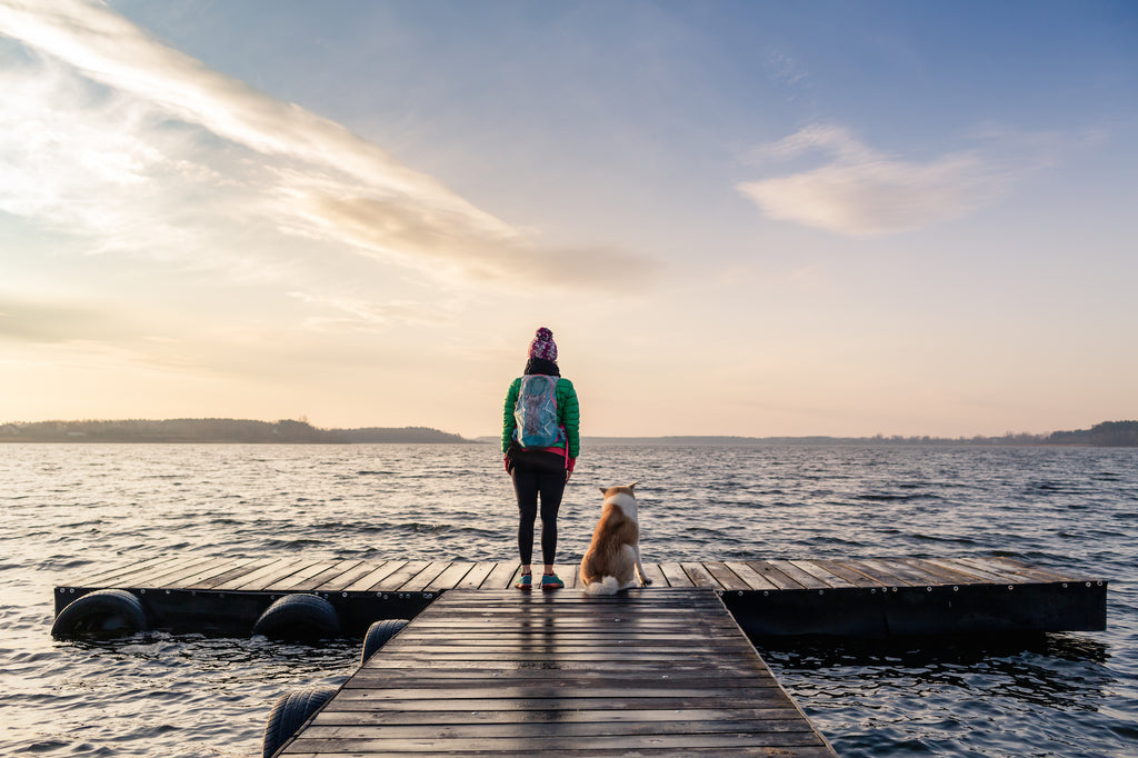 Dog and owner looking off a pier onto water