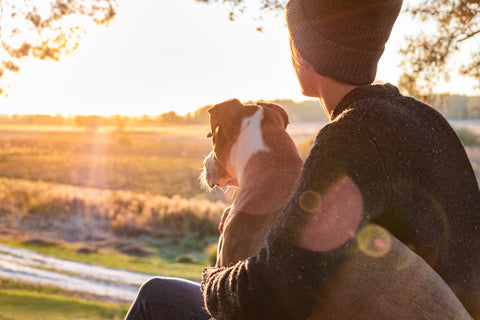 Incredible Tails of Love and Loyalty