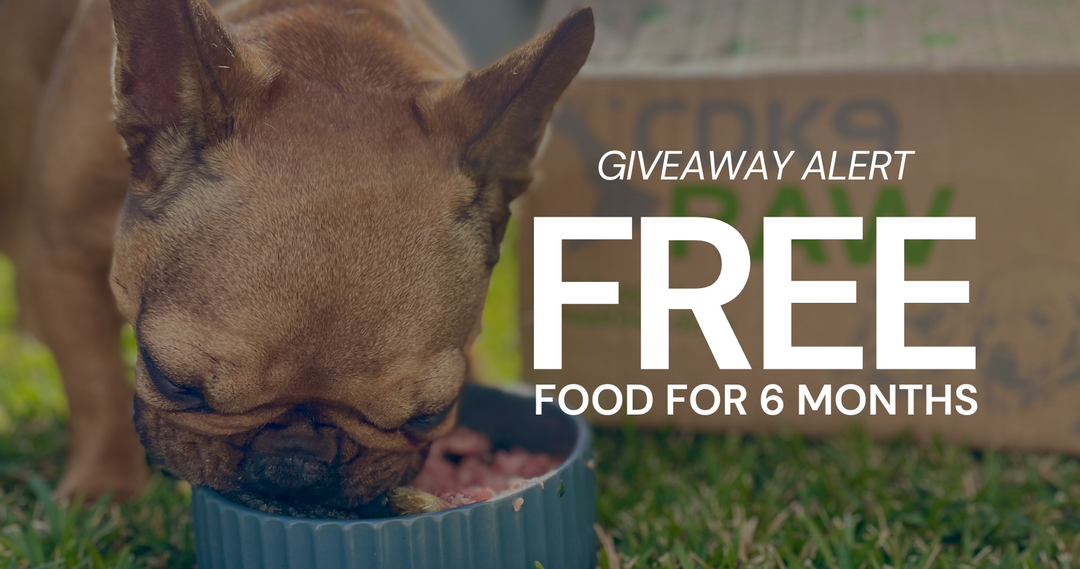 Win 6 Months of Free CDK9 Raw