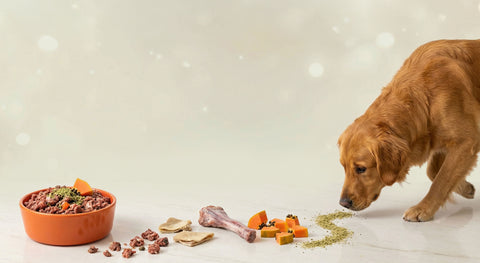 Unplanned website disruption - please scroll down for weekly meal plans. Any issues email team@cdk9raw.com.au